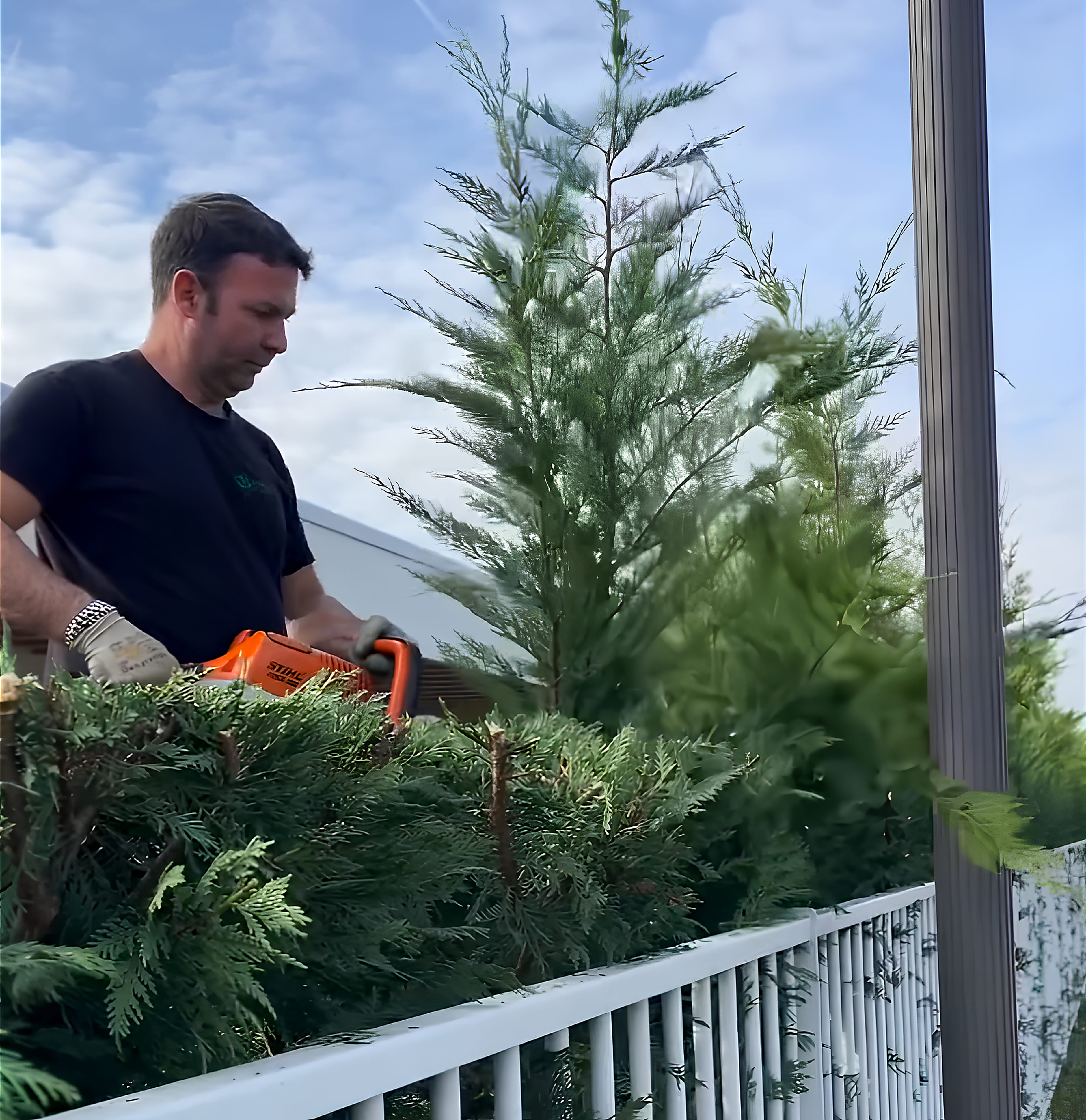 Potatura e cura del verde