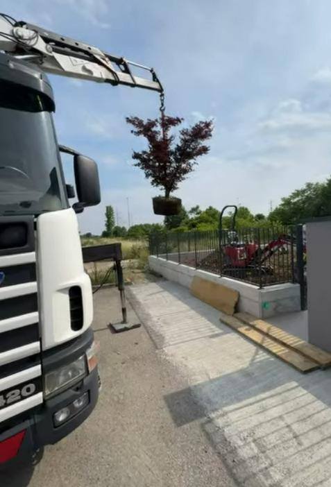 Albero con la zolla calato dalla gru del camion oltre la recinzione, con il miniescavatore che aspetta dentro