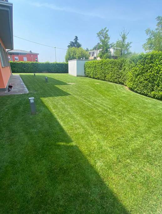 Prato appena tagliato a strisce lungo la casa, con la siepe alta sul confine
