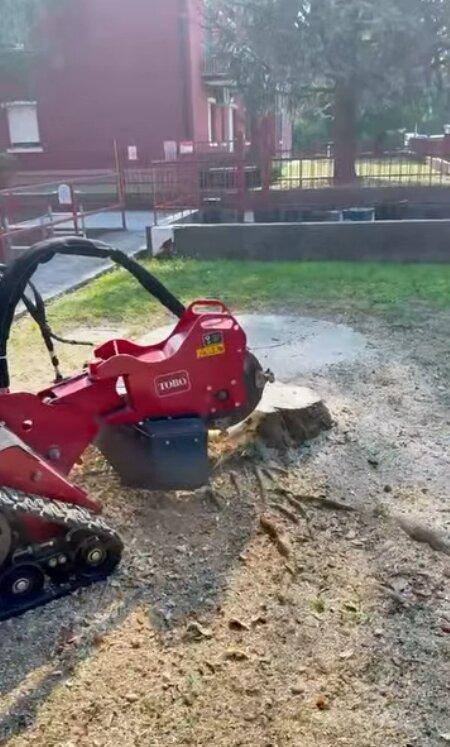 Fresa ceppaie cingolata al lavoro su un ceppo, circondato dall’anello di segatura appena prodotto