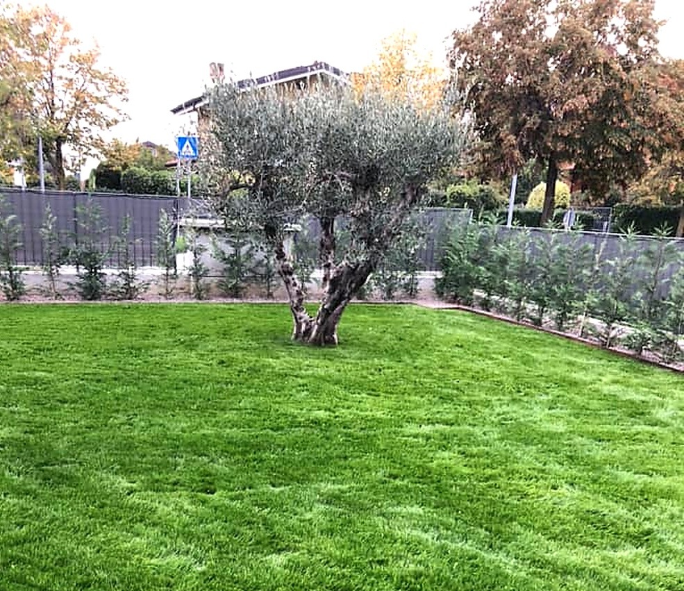 Realizzazione e manutenzione giardino in provincia di Bergamo