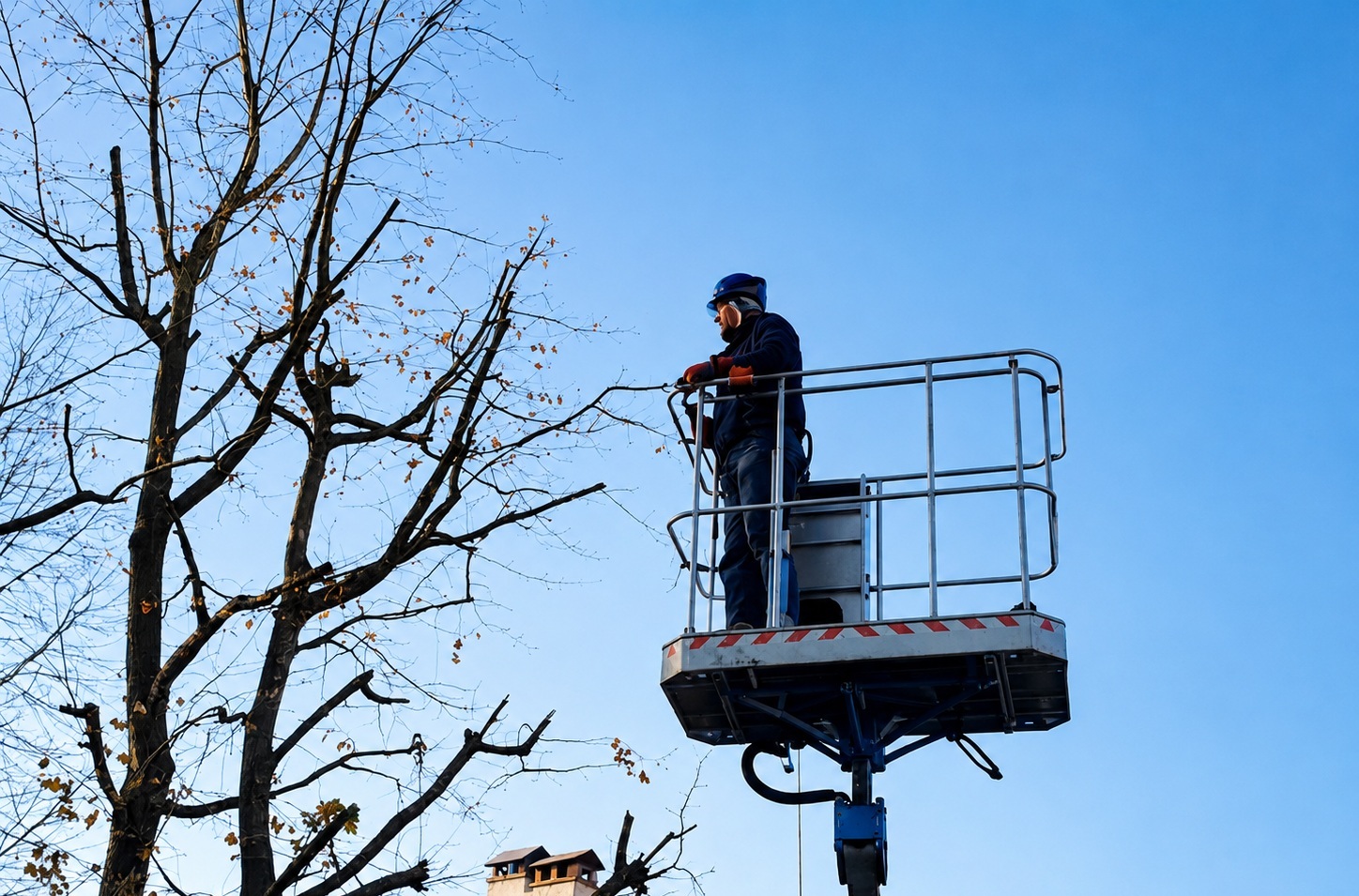Intervento su albero alto in un giardino della provincia di Bergamo