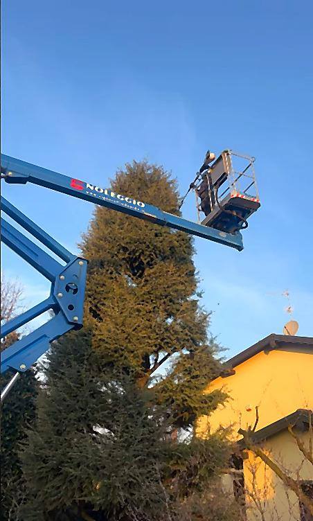 Piattaforma aerea al lavoro su una conifera alta accanto a una casa
