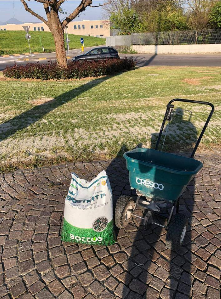 Spandiconcime a carrello e sacco di concime d’avvio appoggiati sul selciato, davanti a un prato ancora diradato