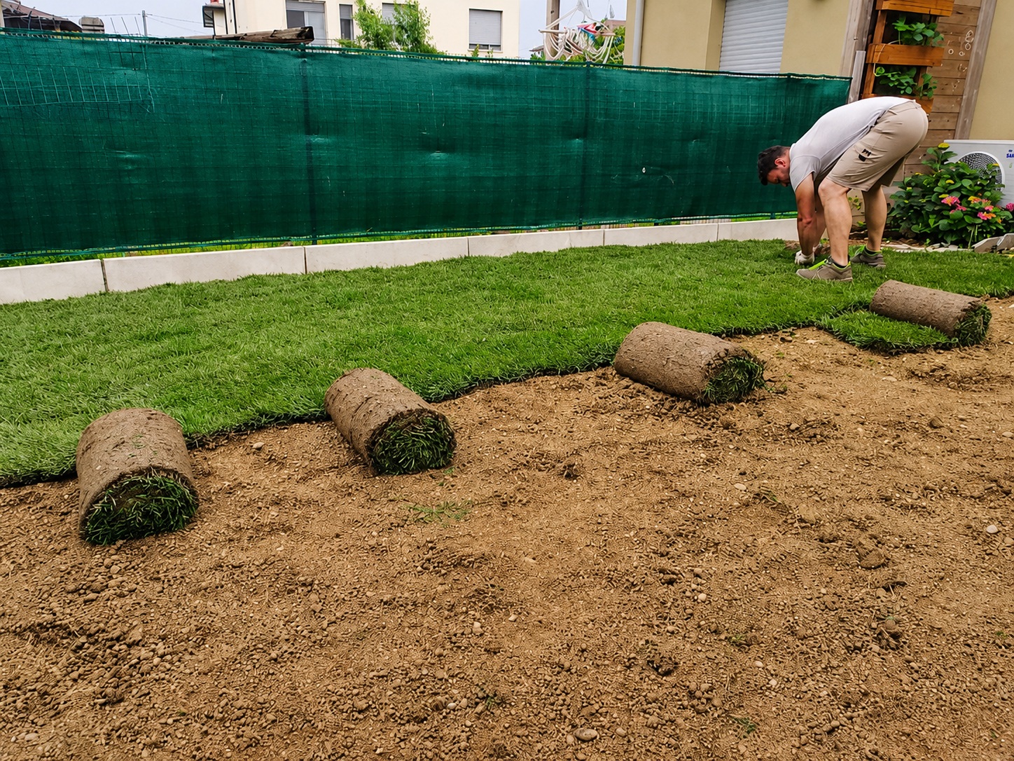 Posa di prato a rotoli in giardino